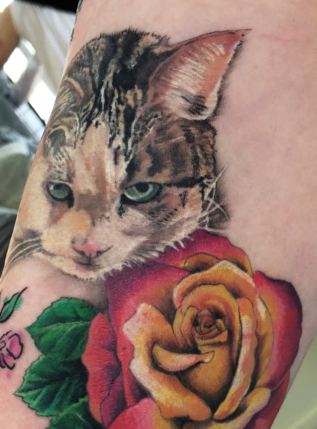 Cat portrait and rose
