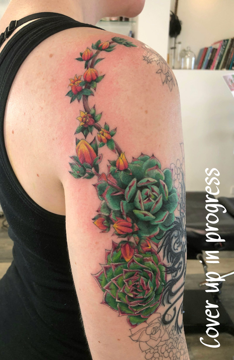 Succulents