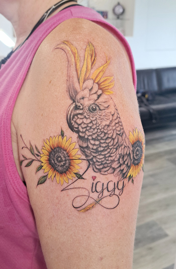 Cockatoo and sunflowers