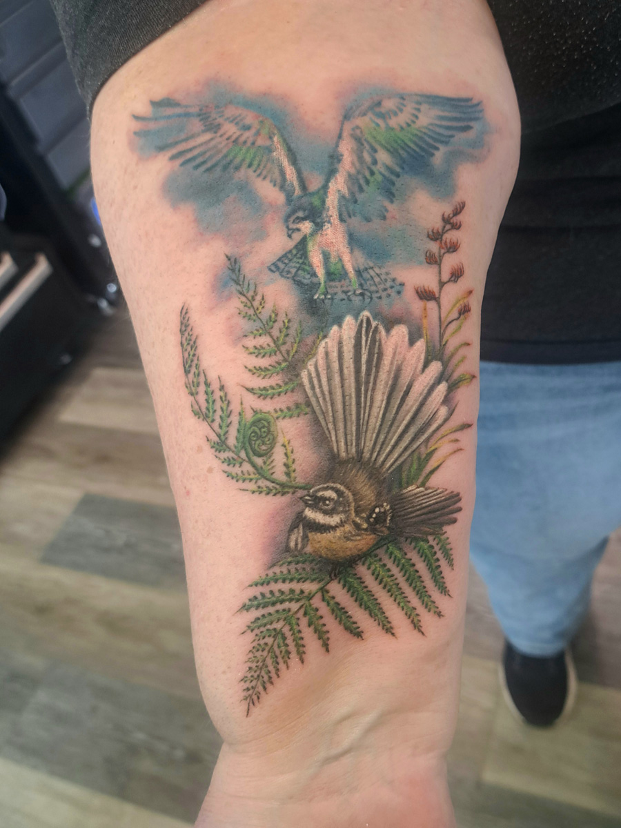 The fantail and the ghostly osprey.