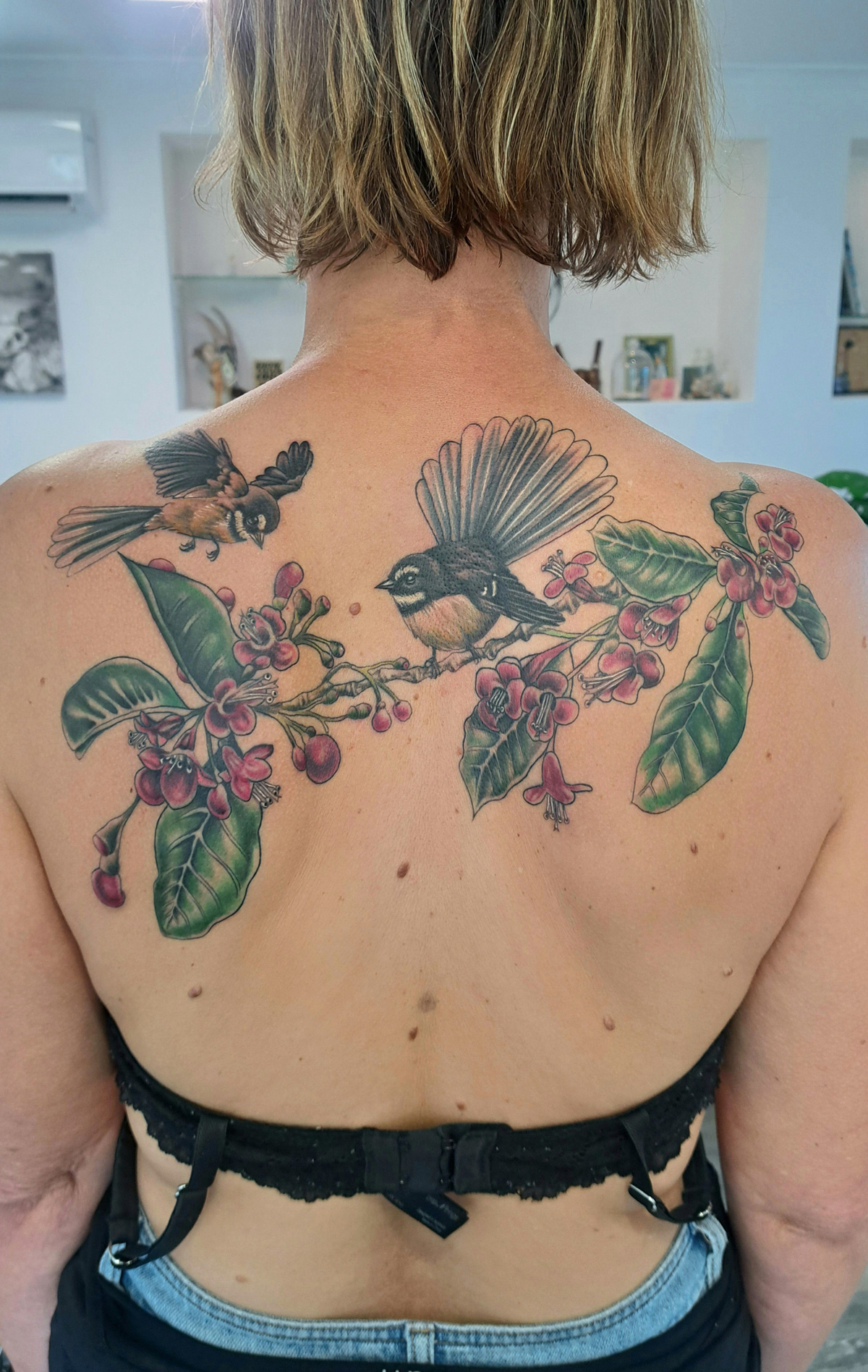 Ancient roots and delicate wings tell a story of harmony