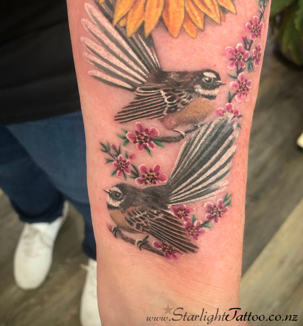 Delicate fantails