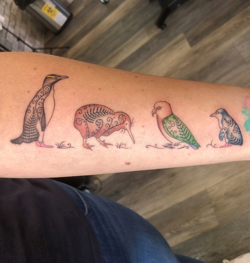 Native birds of Aotearoa