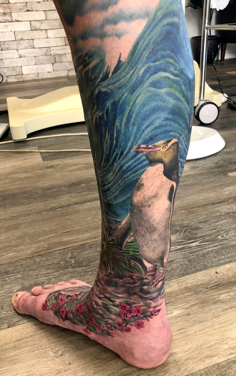 New Zealand Penguin - native New Zealand animal in ink