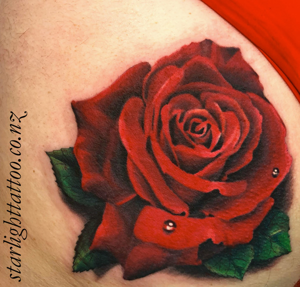 Bold red rose - classic colour realism brought to life in Auckland