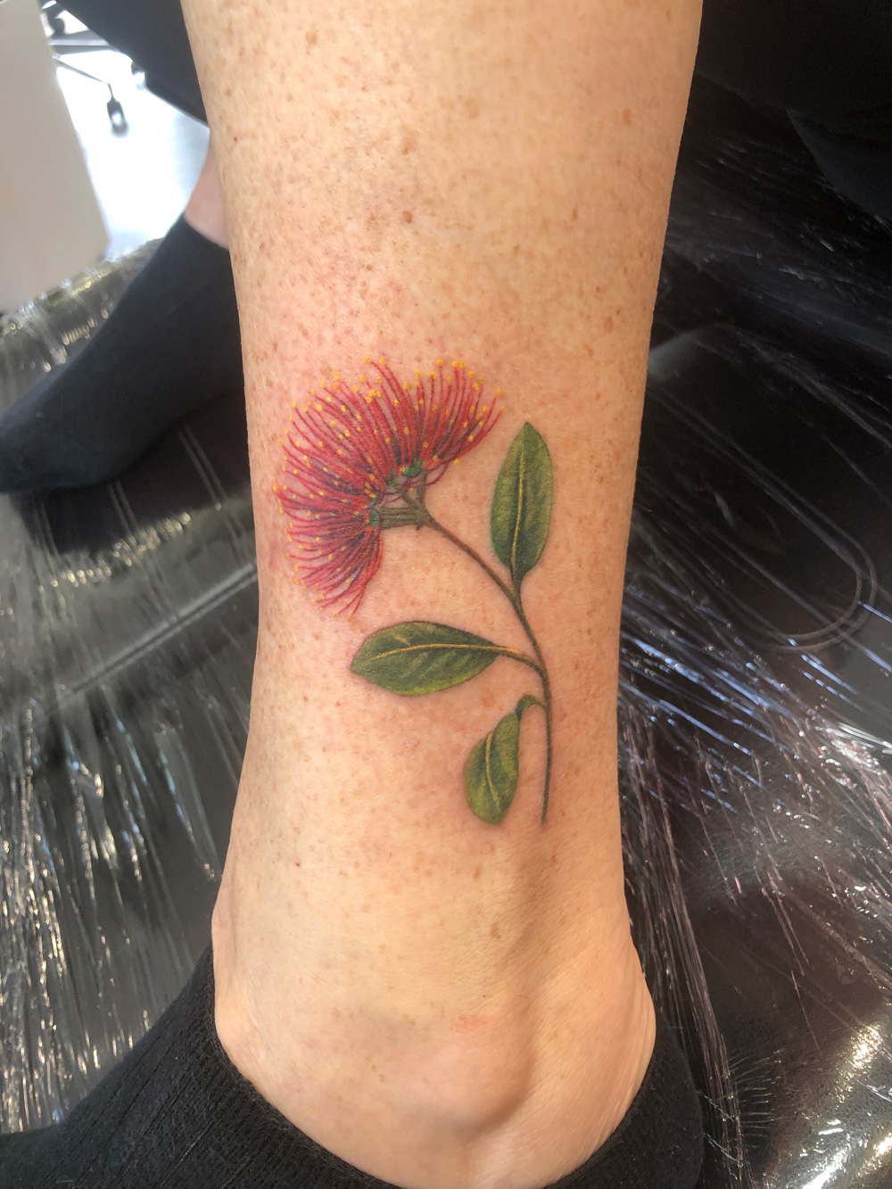 Crimson blossoms carry the warmth of home, blooming brightly.
